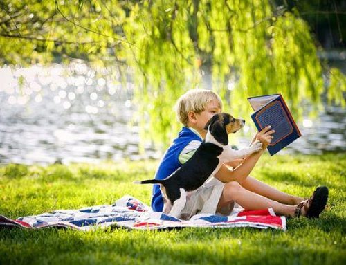 So entdecken Kinder Freude am Lesen