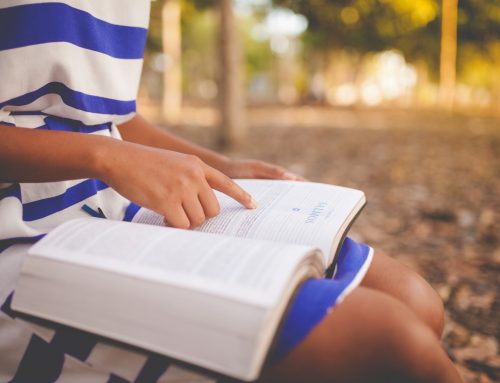 Ich verstehe es so! Den Büchern Sinn entnehmen